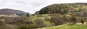 Gilfach Nature Reserve